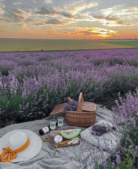 Picnic Date Food, Cottagecore Picnic, Nature Witch, Picnic Inspiration, Lavender Aesthetic, Lavender Field, Picnic Date, Lavender Farm, Beauty Nature