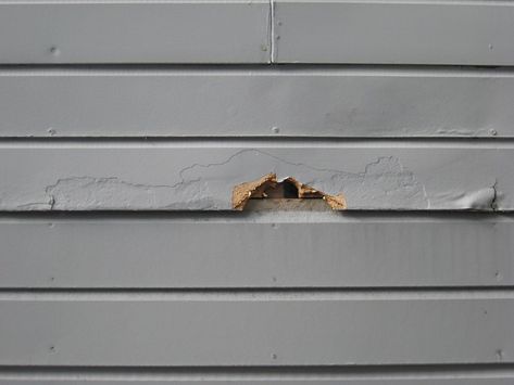 Rotted Wood Repair To Fix Damaged Siding Wood Siding Exterior, Siding Repair, Handyman Projects, Wood Repair, Wood Cladding, Carpentry Diy, House Siding, Wood Siding, Diy Home Repair