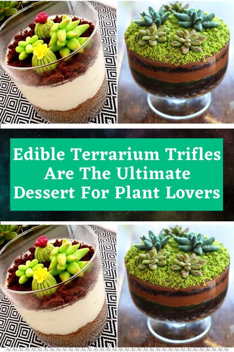 Dirt Cake Decorating Ideas, Terrarium Cake Ideas, Edible Terrarium Dessert, Terrarium Cake, Edible Terrarium, Triffle Recipe, Edible Dirt, Terraria Cake, Edible Succulents