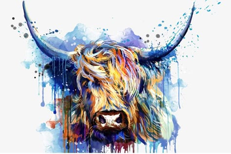 I want to find out where this image came from? Anyone know who it is by or where I can legitimately order a print of it? Scottish Highlander Cow Painting  scottish highland cow scotty cow Cow Canvas Painting, Highland Cow Picture, Highland Cow Tattoo, Highland Cow Pictures, Highland Cow Painting, Cow Tattoo, Highland Cow Art, Bull Art, Bull Tattoos