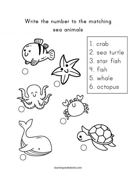 Sea Animal Worksheets Preschool, Sea Animals Worksheets For Kids, Sea Turtle Life Cycle, Halloween Worksheet, English Games For Kids, Father's Day Cards Handmade, Animals Worksheet, Ingles Kids, Back To School Worksheets