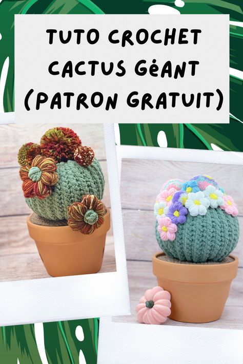 Cactus En Crochet, Crochet Pink, Crochet Cactus, Pink Pumpkin, Diy Crochet, Free Crochet Pattern, Free Crochet, Cactus, Amigurumi