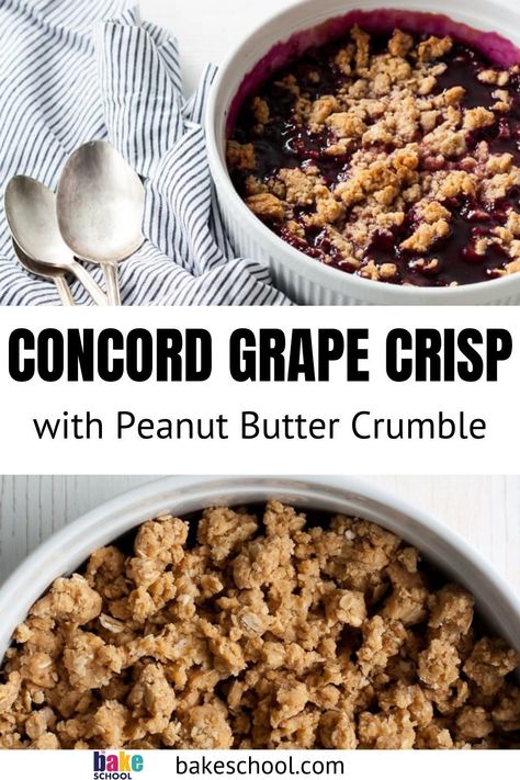 Concord Grape Cobbler, Recipes With Concord Grapes, Concord Grape Pie Filling, Concord Grape Recipes Desserts, What To Do With Concord Grapes, Grape Recipes Dessert, Grape Puree Recipes, Grape Cobbler, Grape Crumble