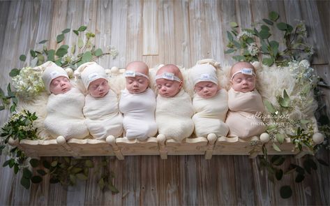 Meet the miracle sextuplets born 10 weeks early Multiple Births, Birth Videos, Baby Apps, Multiples Baby, Baby Center, Baby Development, Beautiful Rainbow, Beautiful Family, Newborn Photos