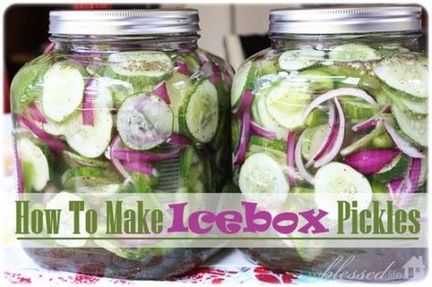 Icebox Pickles, Refrigerator Pickle Recipes, Pickle Recipes, Refrigerator Pickles, Homemade Pickles, Celery Seed, Ice Box, Pickling Recipes, White Vinegar