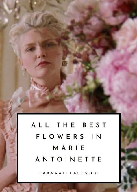 Marie Antoinette Flowers, Marie Antoinette Film, French Movies, Best Flowers, Formal Gardens, Small Bouquet, Natural Garden, Flower Branch, Single Flower