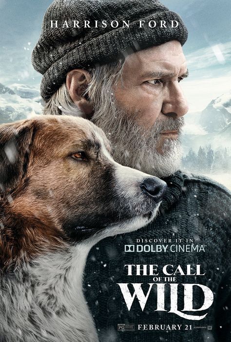 The Wild Movie, Green Lantern 2011, Otto Movie, Scotch Collie, Wild Movie, Dog Sled, The Call Of The Wild, Dog Movies, Travel Movies