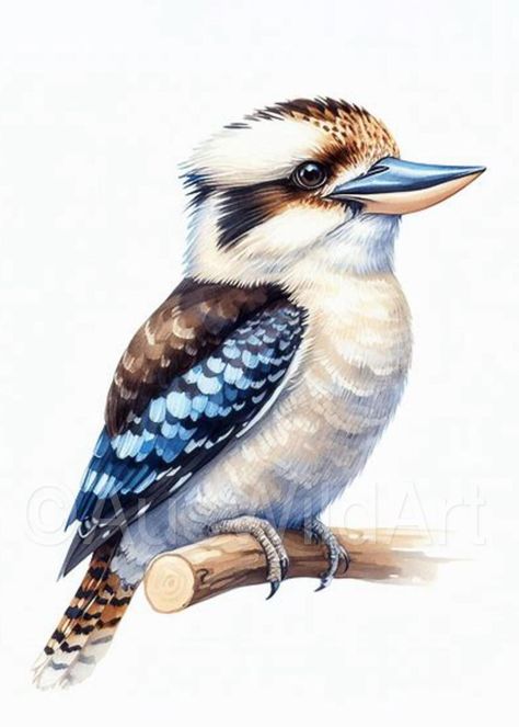 G'day! My names Bel, and I'm absolutely stocked that you're here checking out my Kookaburras. Funny little fellas, hey? (Get it..?)  All of my paintings are printed onto high quality 230 gsm premium art paper, and delivered to you framed in your choice of 3 sizes, across 3 different frame options. Please be aware when selecting your size, that this is the size of the artwork itself; you should allow an extra 3-4cm per side for the frame.  Size Options:  - A1 - A2 - A3 Frame Options: - Caterina B How To Paint A Kookaburra, Kookaburra Watercolour Painting, Australian Bird Painting, Kookaburra Watercolour, Kookaburra Painting, Banksia Art, Kookaburra Drawing, Kookaburra Tattoo, Kookaburra Art