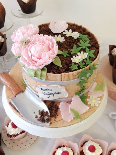 Flower pot cake                                                                                                                                                                                 Más Flower Pot Cake Ideas, Flower Pot Cake, Pot Cake, Cake With Flowers, Flower Pot, Cake Ideas, Cake, Flowers, Pink