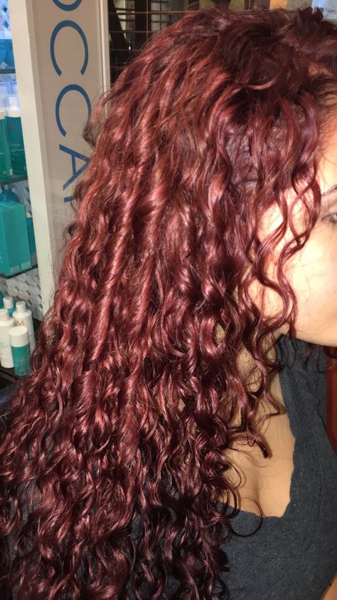 Red Permed Hair, Burgandy Hair Curly Hair, Red Hair On Curly Hair, Hair Color Curly Hair Ideas, Wine Red Hair Curly, Wine Curly Hair, Dark Red Hair Curly, Red Curly Hair Dyed, Red Highlights Curly Hair