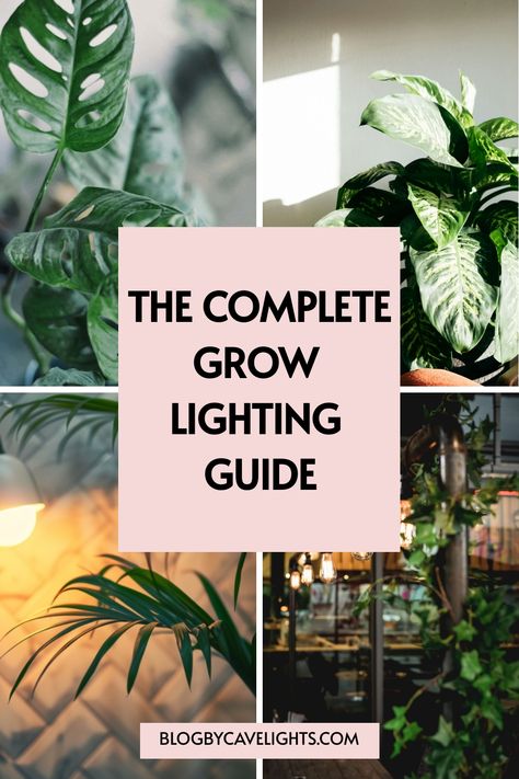 🌿 Ready to revamp your indoor garden? Our complete grow lighting guide covers the best plant light fixtures and innovative grow light ideas for a lush and thriving space. Click now to transform your plant care routine! 🌟🌱 Plant Lighting Ideas, Plant Lights Indoor Setup, Plant Lighting Guide, Grow Light Ideas, Grow Lights For Houseplants, Grow Lights Diy, Indoor Cactus Garden, Best Grow Lights, Cheap Plants