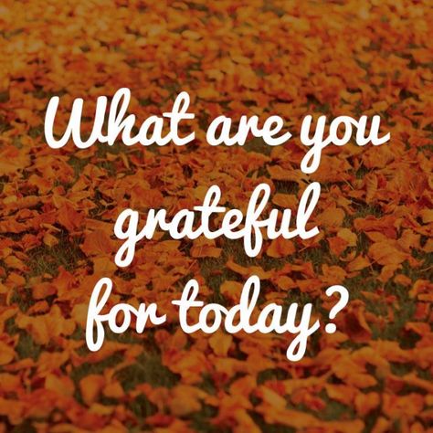 What Are You Grateful For? #MySweetNothings #vasanthapins #gratitude #mindfulness Gratitude Pictures, Interesting Questions To Ask, Grateful For Today, Fun Questions To Ask, Spirit Science, Happy Thanksgiving Quotes, Today Pictures, Thanksgiving Quotes, Attitude Of Gratitude