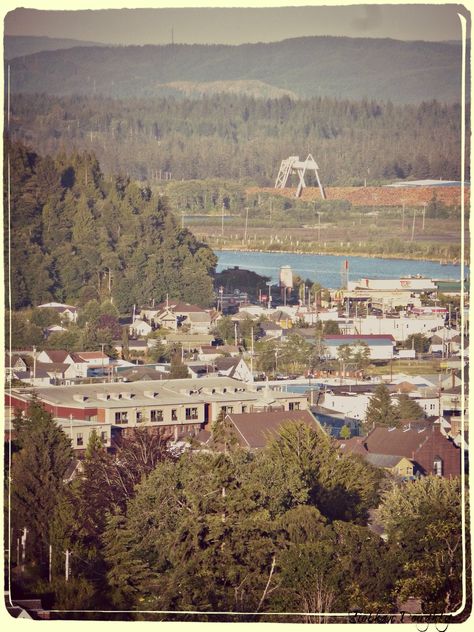 Aberdeen, WA 2013: Aberdeen High School, center Aberdeen Washington, Uncanny Valley, Western Washington, Continental Divide, I Want To Travel, Life Is A Journey, Aberdeen, Pacific Ocean, Washington State