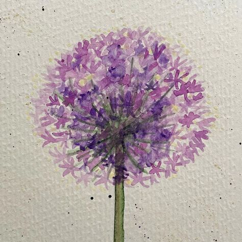 Carol Fetherston on Instagram: “Alliums are one of my favourite flowers and now I think I’ve found my favourite flower to draw/paint 💜 Need a bit of practice still, but…” Alium Flower Drawing, Alium Flower Painting, Allium Flowers Painting, Allium Flowers Drawing, Allium Drawing, Allium Watercolor, Flower To Draw, Allium Flower, Allium Flowers