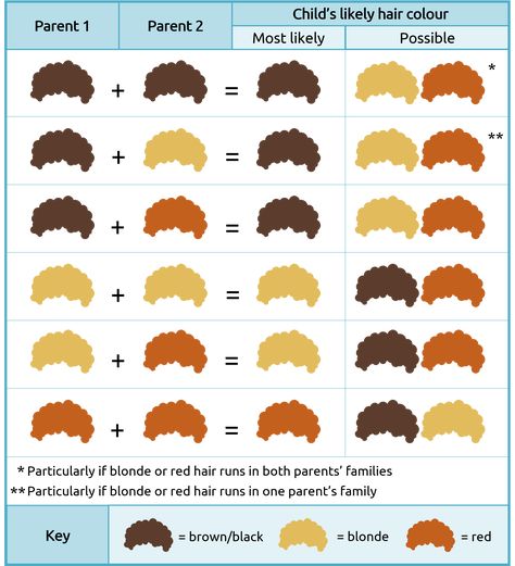 Red Hair Gene, Eye Color Chart Genetics, Eye Color Chart, Blonde Babies, Hair Color Chart, Red To Blonde, Human Hair Color, Different Hair Colors, Dark Blonde Hair