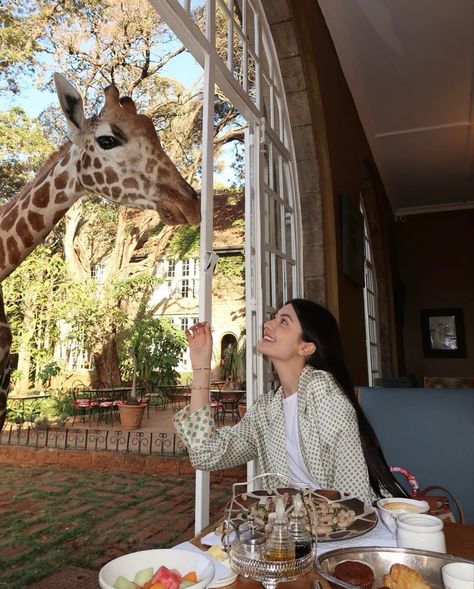 breakfast eating with giraffes, dream vacation, bucket list, unique hotel experience, animal interaction Giraffe Manor, Vacation Bucket List, Unique Hotels, Happy Girl, Dream Vacation, Giraffes, Dream Vacations, Life Is Good, Bucket List