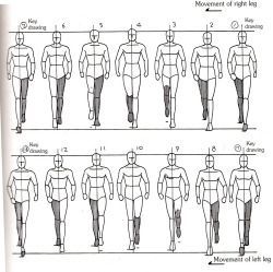 Heartbloodrose Walk Cycle Reference, Animation Cycle, Drawing Walking, Animation Walk Cycle, Walking Animation, Paracord Handle, Walking Poses, Walk Cycle, Wrap Tutorial