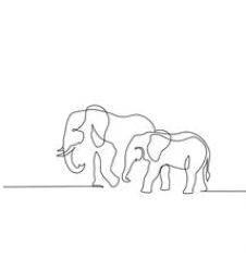 Line Elephant Tattoo, Elephant Line Drawing, One Line Tattoo, Small Girl Tattoos, Elephant Drawing, Elephant Tattoo, Drawing Vector, One Line Drawing, Line Art Tattoos