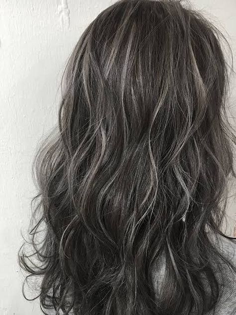 Hair Coloring For Dark Hair, Dark Gray Highlights On Dark Hair, Babylights Grey Blending, Gray Money Piece Hair Brunette, Dark Brown Hair With Gray Highlights, Blending Grey Hair With Dark Hair, Dyed Grey Hair, Silver Babylights, Grey Highlights In Brown Hair