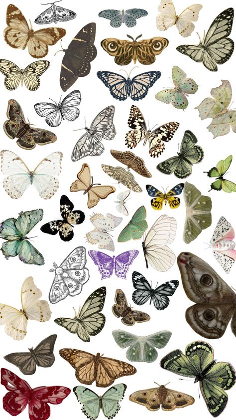 #butterfly #moth #background #insect #bug #collage Moth Background, Bug Collage, Insect Collage, Moth Collage, Scrapbook Notes, Mushroom Collage, Collage Cutouts, Poison Tree, Notes Writing