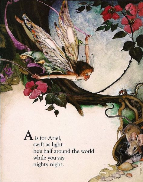 Fairy Alphabet, Fairy Illustration, Elves And Fairies, Fairytale Illustration, Fairies Elves, Vintage Fairies, Fairy Magic, Flower Fairies, Fairytale Art