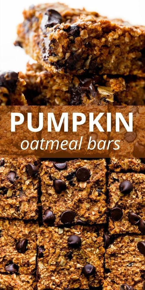 Pumpkin Chocolate Chip Oatmeal Bars, Pumpkin Oatmeal Bars, Chocolate Chip Oatmeal Bars, Oat Chocolate Chip Cookies, Oatmeal Chocolate Chip Bars, Pumpkin Oats, Pumpkin Recipes Easy, Pumpkin Spice Recipe, Chocolate Chip Bars