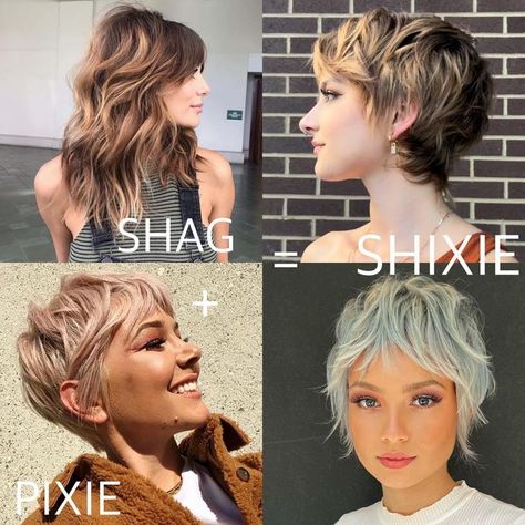 HAIR on Instagram: "SHAG + PIXIE = SHIXIE Nothing like a good visual to show the difference! Let’s break it down 💪 THE SHAG It’s stood the test of time and is a great option for giving you lots of play around your face while still maintaining the length. There are so many variations of this cut. Some that keep the fullness and some that carve it away. Depending on your hair texture it typically styles itself with a little help from you pushing the style towards your face where it needs to be Texture Short Haircut, Haircuts That Keep Hair Out Of Face, Boho Pixie Haircut, "shixie" Haircut, Full Face Pixie Haircut, Shag Pixie Cut Fine Hair, Shixie Hair, Growing Out Hair Styles, Shixie Haircut Girl