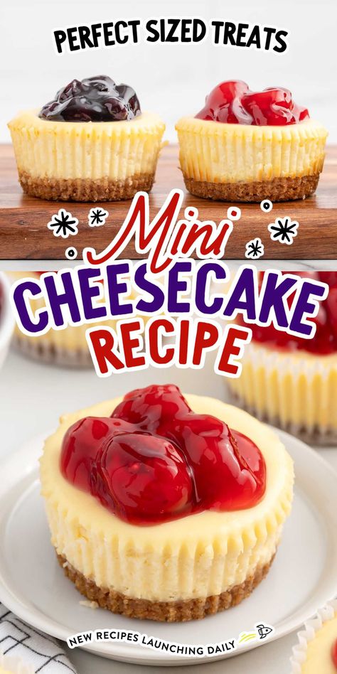 This easy mini cheesecake recipe bakes up perfectly in under and hour. With a buttery graham cracker crust and the creamiest filling, you’ll enjoy every bite! The Best Mini Cheesecakes, Small Batch Cheesecake Recipe, Refrigerator Cheesecake Recipe, Ready Made Cheesecake Filling Recipes, How To Make Cheesecake At Home, Cheesecake Filling Recipe Easy, Easy No Bake Cheesecake 4 Ingredients, Cheesecake Recipe With Premade Crust, Homemade Cheesecake No Bake