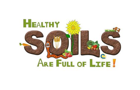 https://flic.kr/p/M2224f | 2017 Healthy Soils Are Full of Life! Conservation Poster Ideas, Soil Art, Conservation Poster, Soil Pollution, Save Soil, Pollution Environment, Slogan Writing, Sustainable Schools, Soil And Water Conservation