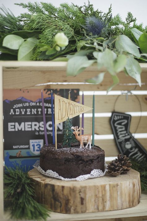 National Parks inspired birthday party ideas Party Ideas Wedding, Ideas Wedding Party, Forest Birthday Party, Park Party, Camping Theme Party, Adventure Party, Park Birthday, Camping Birthday Party, Wedding Party Ideas