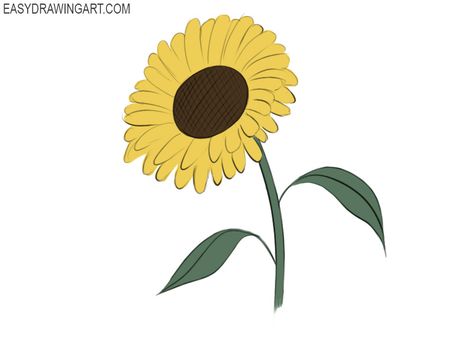 Simple Sunflower Drawing, Sunflower Drawing Ideas, Easy Sunflower Drawing, Sketch Guide, Draw A Sunflower, Sunflower Tattoo Simple, Sunflower Sketches, Cute Flower Drawing, Simple Sunflower