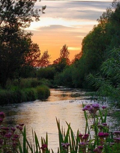 Riverside Landscape, River Side, Beautiful Skies, Foto Art, Beautiful Sunrise, Landscape Nature, Beautiful Photography, Nature Pictures, Nature Photos