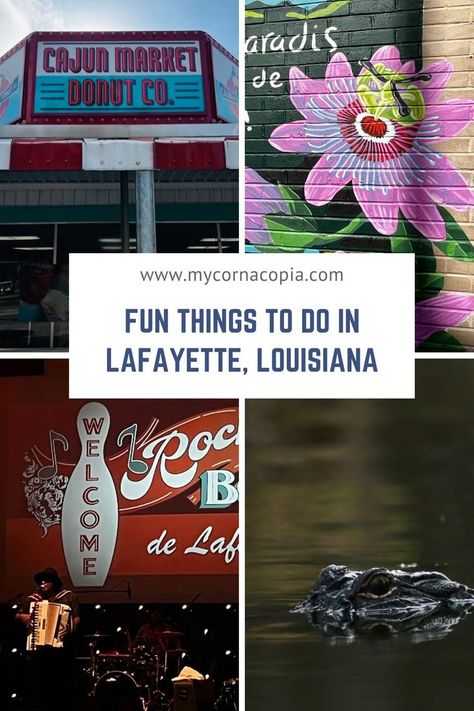 A visit to Lafayette, Louisiana means lots of food, music, dancing, art and all around fun! We've put together a list of fun things to do in Lafayette (and they won't break the bank!) Lots Of Food, Dancing Art, Louisiana Usa, Lafayette Louisiana, Lafayette La, The Bank, 21st Birthday, West Virginia, Fun Things