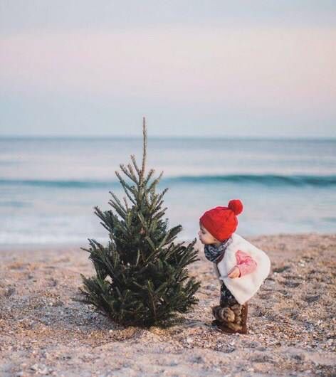 Santa Beach Photoshoot, Florida Christmas Photoshoot, Christmas Photos On Beach, Holiday Beach Photos Christmas Cards, Christmas Photo Beach, Christmas Beach Family Photo Ideas, Beach Xmas Photos, Christmas Pictures At The Beach, Christmas Card Beach Photo Ideas