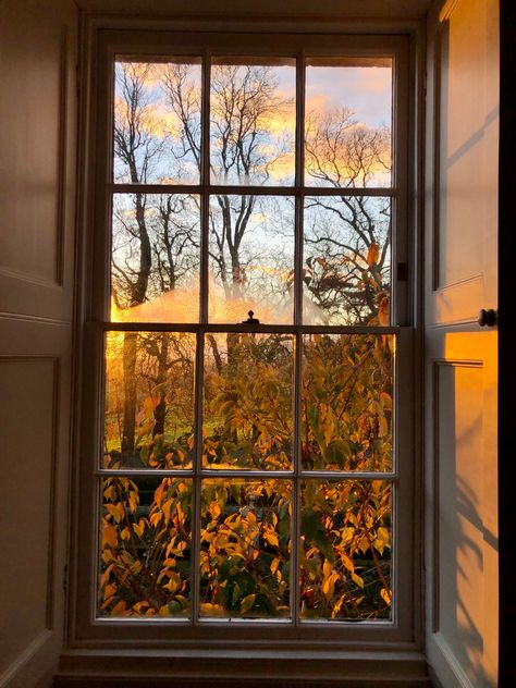 #autumn #window #last #leaves Autumn Window Aesthetic, Houses In Autumn, Autumn Studying Aesthetic, English Autumn Aesthetic, I Am An Autumn, Light Autumn Aesthetic, Whimsigoth Autumn, Fall Morning Aesthetic, Cozy Fall Cottage