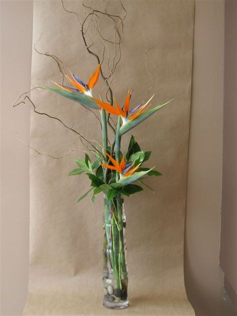 B of Paradise Bird Of Paradise Flower Arrangement, Tropisk Fest, Arreglos Ikebana, Bird Of Paradise Flower, Tropical Floral Arrangements, Tropical Flower Arrangements, Paradise Flowers, Birds Of Paradise Flower, Corporate Flowers