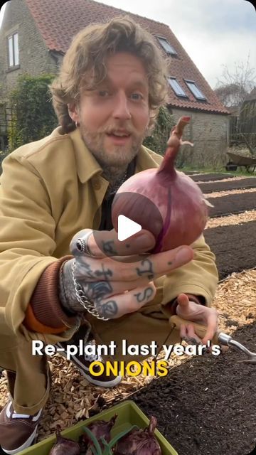 Health☘️ | Fitness 💪| Tips🌟 on Instagram: "Re-plant your Onions and Never Buy Seed Again! 🧅🌱 Great content by @nettlesandpetals. Follow him for more amazing content like this!  I really enjoy growing onions in the vegetable garden and they are biennial, so in their first year they produce the bulbs we generally eat, but if left to grow, or replanted, in their second year they produce flowering stems that pollinators absolutely love! So they are worth replanting for that reason alone. 🌼🐝  I have found that onions sown from seed, then go on to produce the best seed, but you could also plant sets, even though they are already immature onions. They will then grow and bulb up and once the necks drop I harvest them, eat most of them, but then store the rest.  The following season I replant Onion Bulbs Planting, Onion Planting How To Grow, Harvesting Potatoes, Cross Pollination, Onion Flower, Growing Onions, Plant Store, Onion Bulbs, Buy Seeds