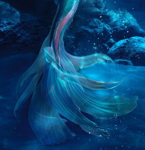 Blue Mermaid Aesthetic, Mermaid Tail Aesthetic, Blue Ocean Aesthetic, Blue Mermaid Tail, Dunia Disney, Little Mermaid Live Action, Dark Mermaid, Siren Mermaid, Water Nymphs