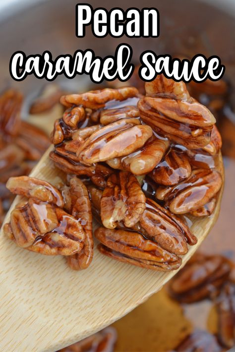 Caramel Pecan Sauce Recipe, Carmel Pecans Recipe, Caramel Recipe No Corn Syrup, Caramelised Pecans, Caramel Pecan Sauce, Caramel Pecans, Fudge Candy, Best Sauce Recipe, Caramel Pecan Cheesecake