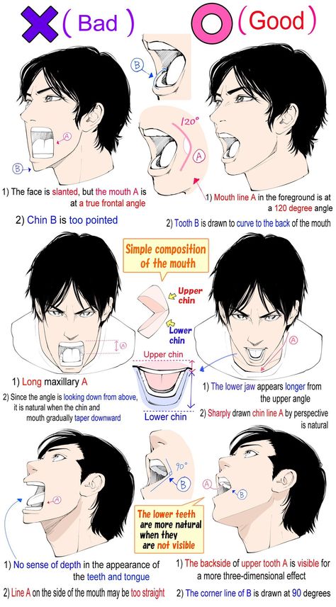 Head Anatomy, Drawing Face Expressions, 얼굴 드로잉, Comic Tutorial, Human Anatomy Drawing, Manga Drawing Tutorials, Human Anatomy Art, Anatomy For Artists, Sketches Tutorial