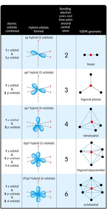 Molecular Orbital Theory Notes, Hybridization Chemistry, Orbitals Chemistry, Vsepr Theory, Biochemistry Notes, Molecular Geometry, Organic Chemistry Study, Chemistry Study Guide, Chemistry Basics