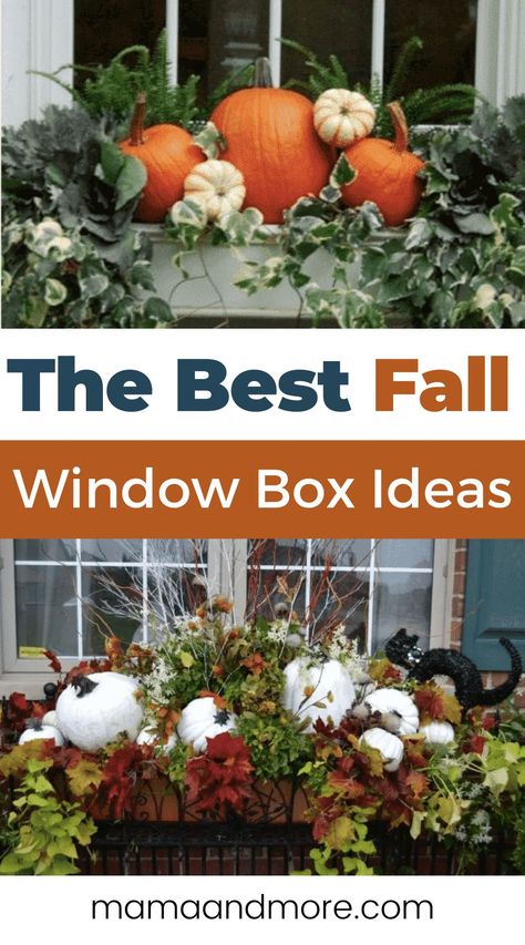 Fall Flower Boxes, Window Box Ideas, Winter Window Boxes, Fall Window Boxes, Window Box Plants, Fall Windows, Outside Fall Decor, Fall Containers, Window Box Flowers