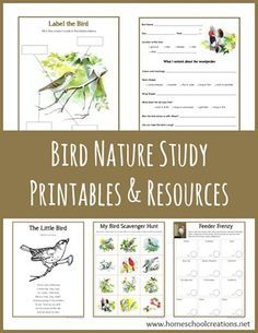 Bird nature study printables and resources from Homeschool Creations. Includes scavenger hunts, feeder tally, bird observation sheets, and writing prompts. Nature Printables, Study Printables, Homeschool Nature Study, Nature School, Memorization, Homeschool Printables, Carl Sagan, Homeschool Science, Nature Study