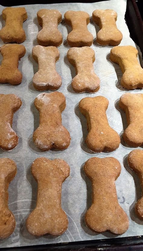 Baby Treats, Banana Dog Treat Recipe, Homemade Cocoa, Peanut Butter Banana Cookies, Dog Cookie Recipes, Kitty Treats, Dogs Treats, Dog Treats Homemade Easy, Doggy Treats