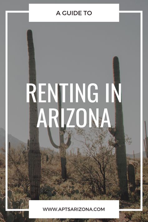 If you’re planning on renting in Arizona or even considering moving in general, you probably have a ton of questions floating through your mind. What things should I know before moving to Arizona? What’s the average rent price? What is the cheapest city to live in? How does renting in Arizona compare to other states? These questions may seem overwhelming but look no further because all these questions will be answered! Moving To Arizona Tips, Moving To Arizona, Renting Out Your House, Show Low Arizona, Arizona House, Living In Arizona, Tucson Arizona, Moving Out, Relocation