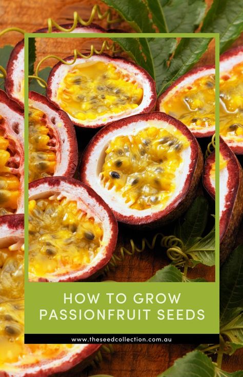 passionfruits cut in half Grow Passionfruit, Seed Collection, Fruit Seeds, Passion Fruit, How To Grow, To Grow, Soil, Seeds, Fruit