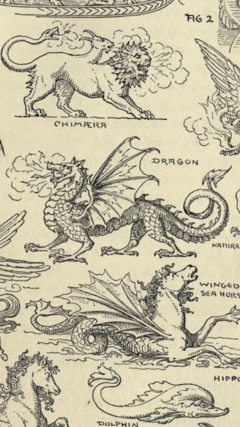 Medieval Fish Illustration, Medieval Art Dragon, Dragon Vintage Illustration, Dragonology Illustrations, Medieval Manuscript Tattoo, Fairytale Dragon Tattoo, Woodcut Dragon Tattoo, Old Dragon Art, Medevil Dragon