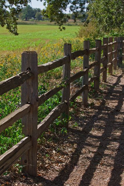 Cottagecore Fence, Rustic Fence Ideas Country Living, Rustic Wood Fence Ideas, Natural Wood Fence, Entrance Fence, Old Wood Fence, Ranch Fence, Old Fence Wood, Old Wooden Fence