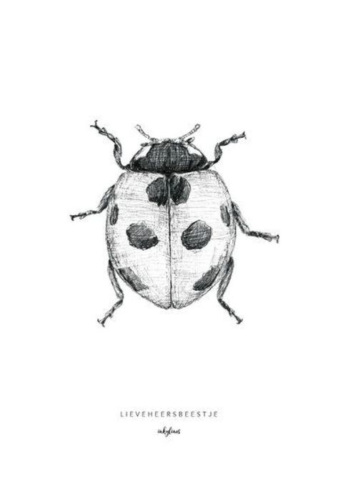 Bugs Drawing, Lady Bug Tattoo, Sketches Doodles, Art Sketches Doodles, Bug Art, Arte Van Gogh, Insect Art, Nature Drawing, Trik Fotografi