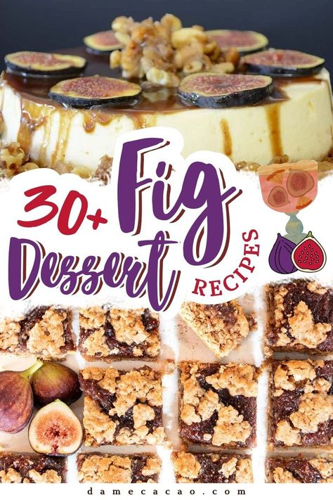 Embrace the short-lived fig season with these over delectable fresh Fig Dessert Recipes. From luscious tarts to frozen delights, discover the unique flavors of figs in a myriad of delightful treats. Explore the versatility of figs - fresh or dried, they're a rich source of fiber, calcium, and potassium. Fig Dessert Recipes, Fig Desserts, Fig Recipes Dessert, Dried Fig Recipes, Fig Dessert, Fig Preserves, Fig Season, Fig Newtons, Kid Friendly Dessert